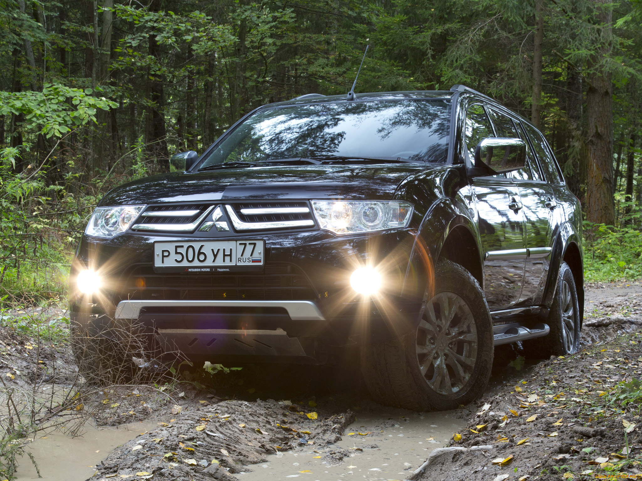 автомобили, mitsubishi, листва