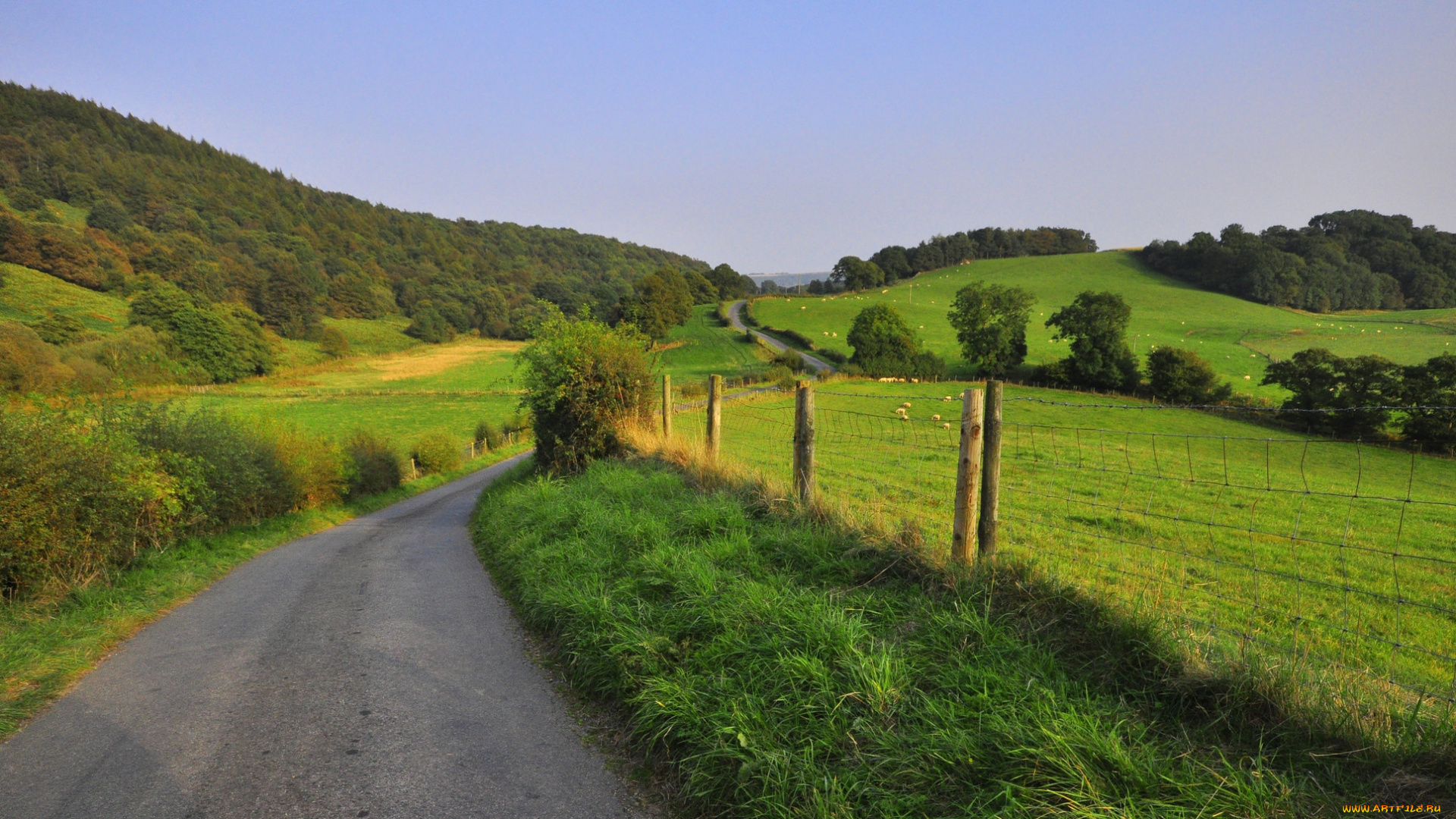 природа, дороги, лес, дорога, холмы