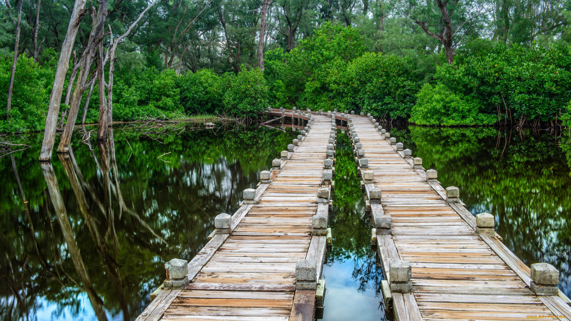 природа, дороги, помост, река, лес