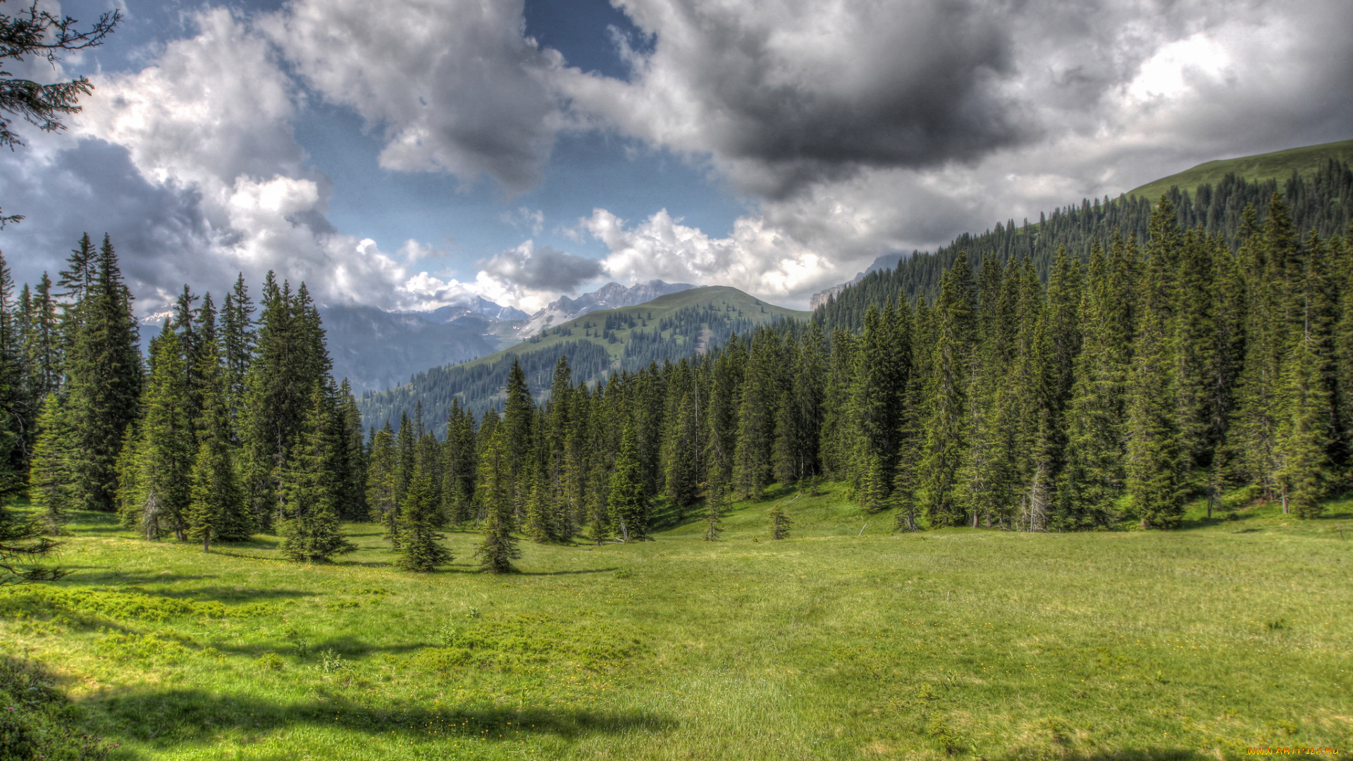 природа, пейзажи, горы, лес, луг, облака