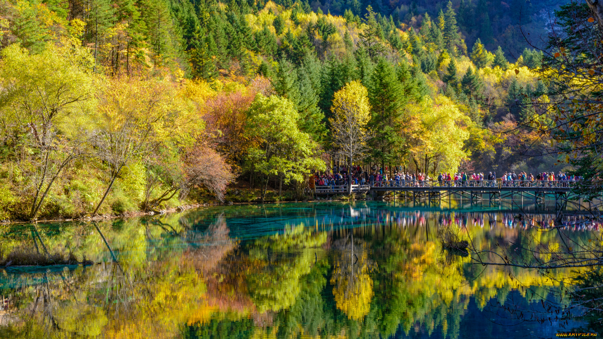 природа, реки, озера, лес, осень, река