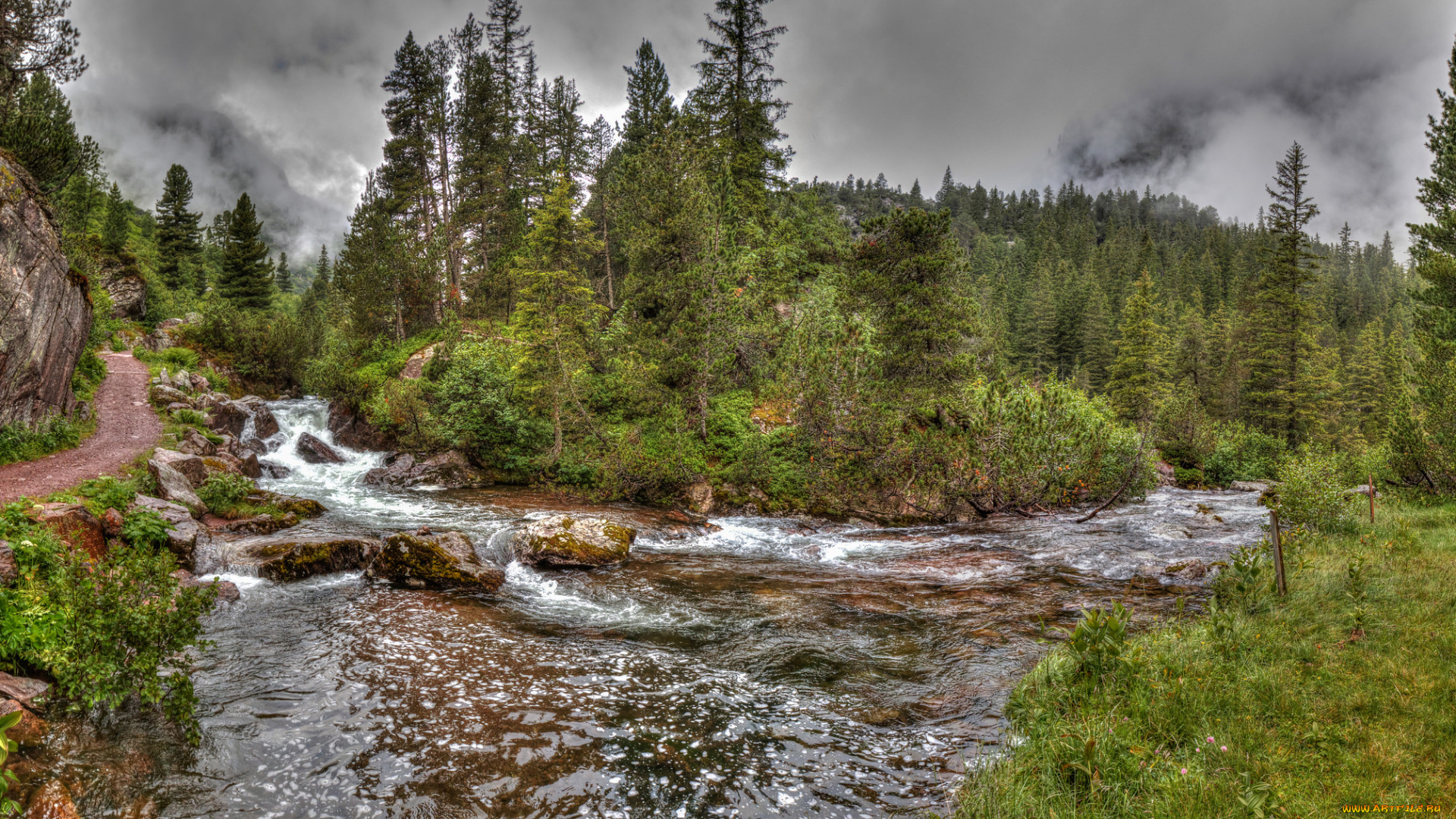 природа, реки, озера, лес, тучи, река
