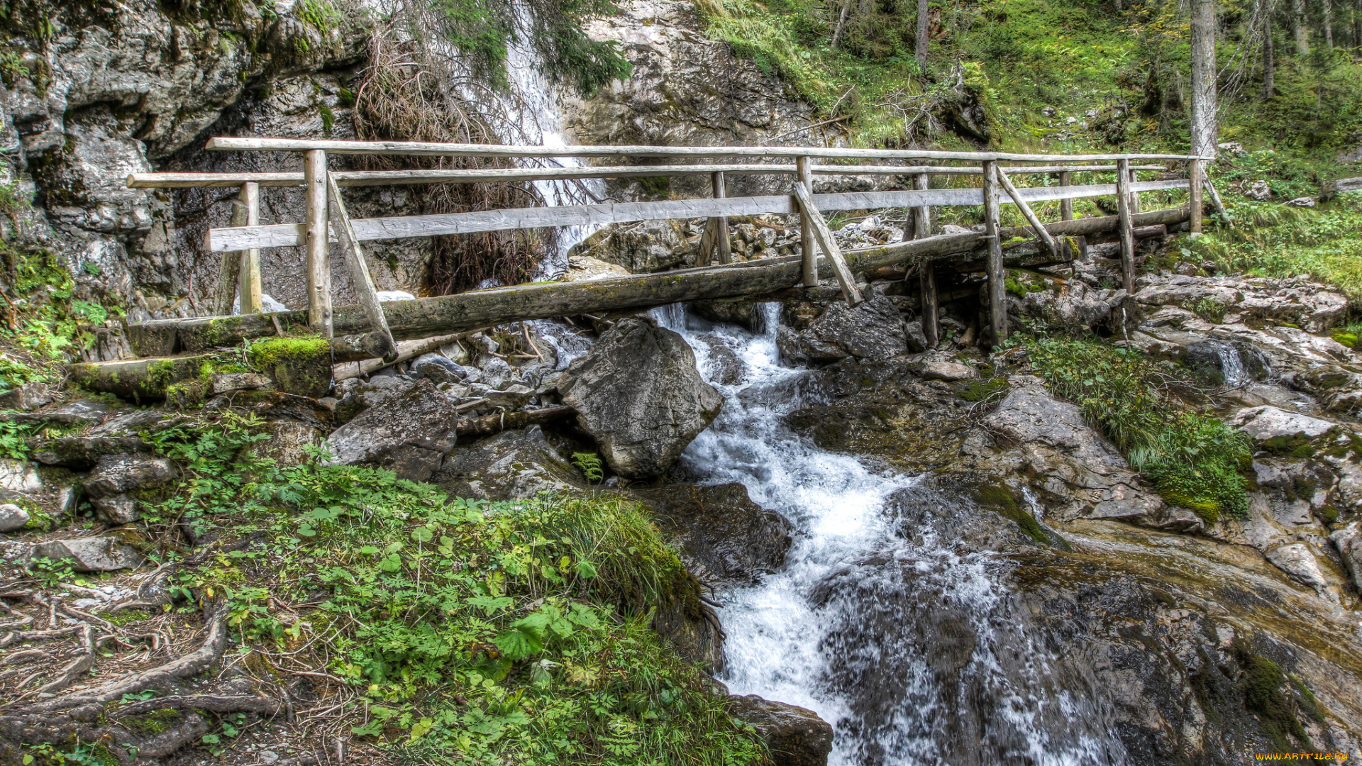 природа, реки, озера, мост, речка, лес, скалы