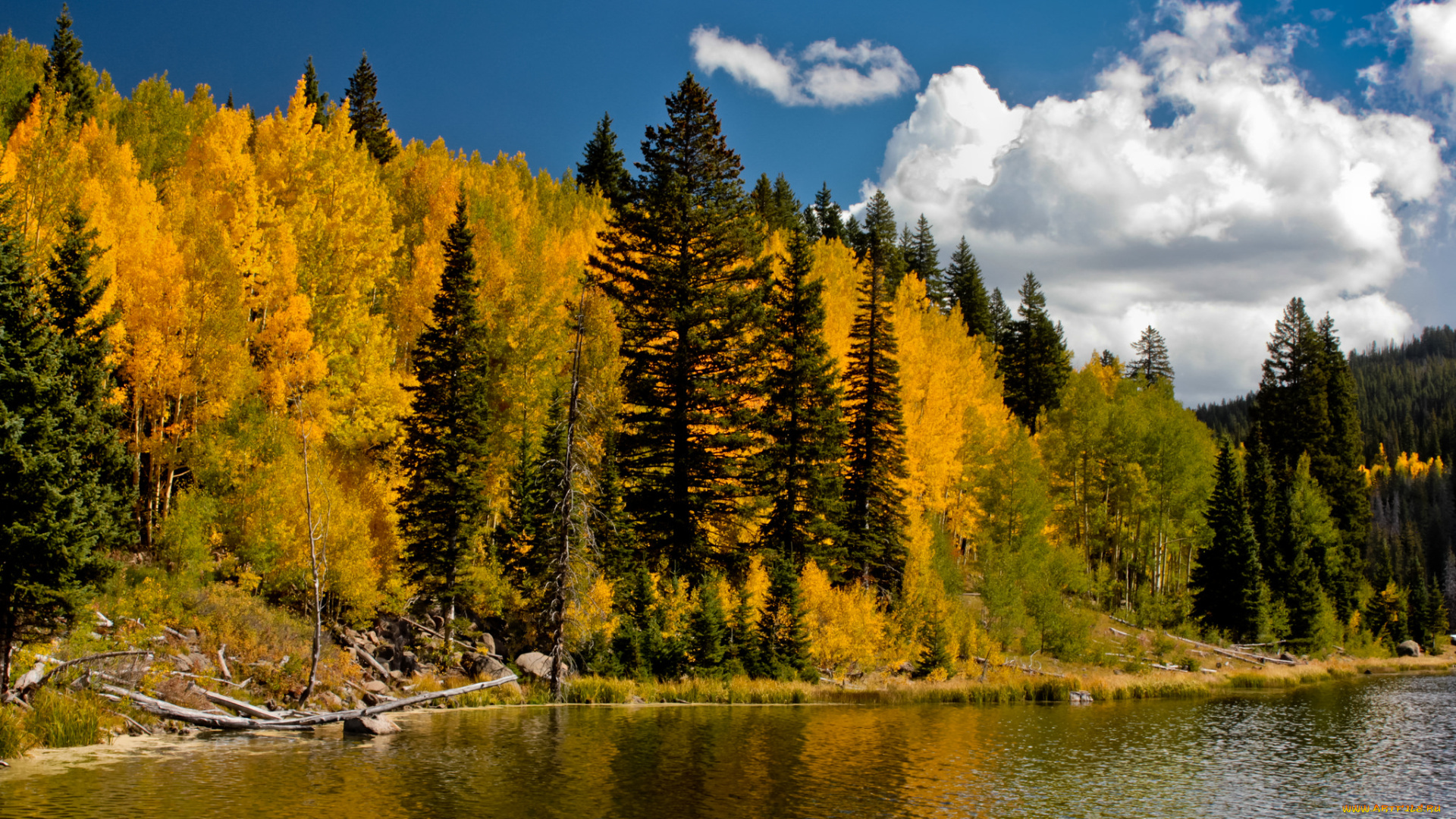 природа, реки, озера, осень, река, лес, горы