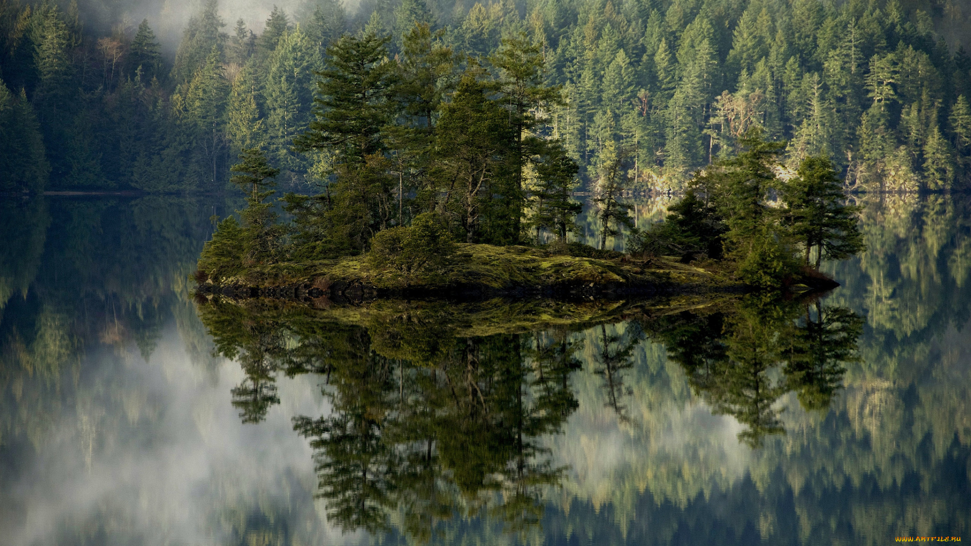 природа, реки, озера, остров, река, лес, туман