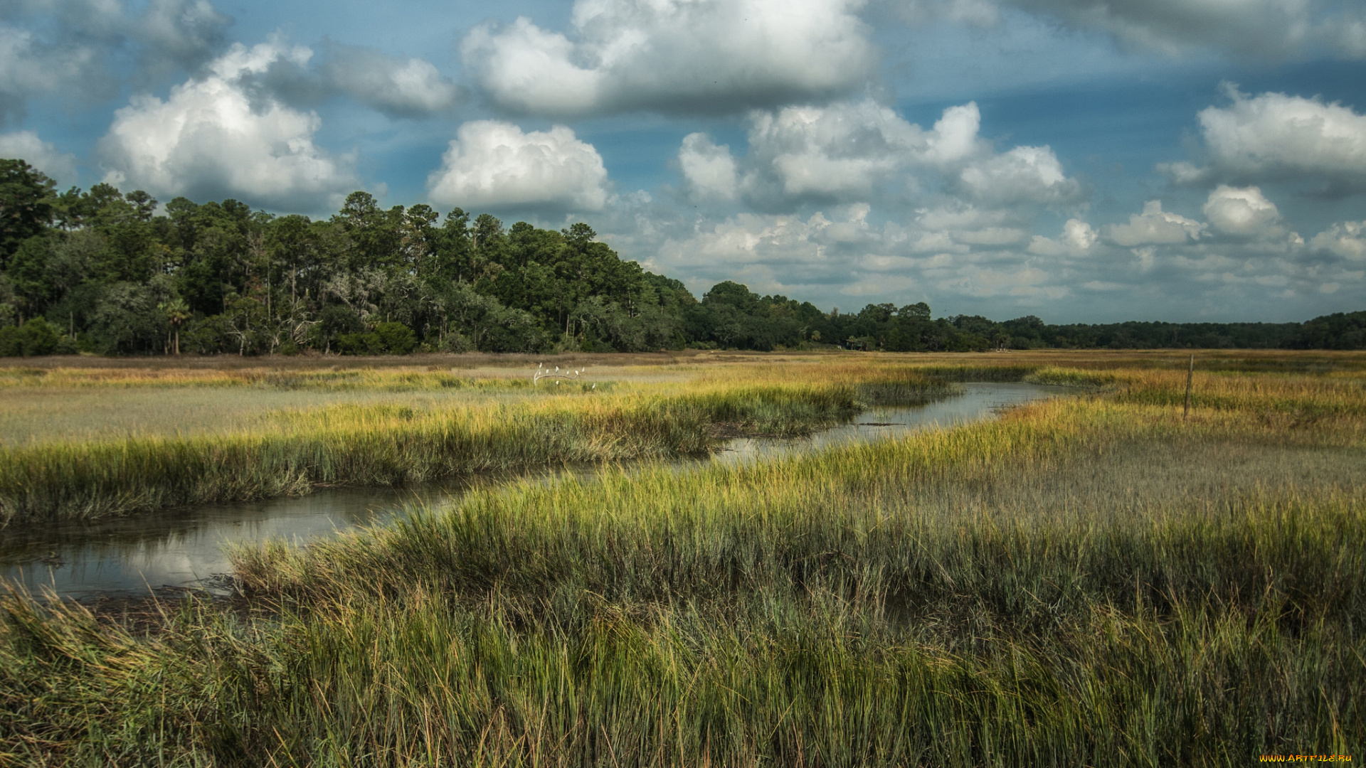 природа, реки, озера, поле, лес, речка
