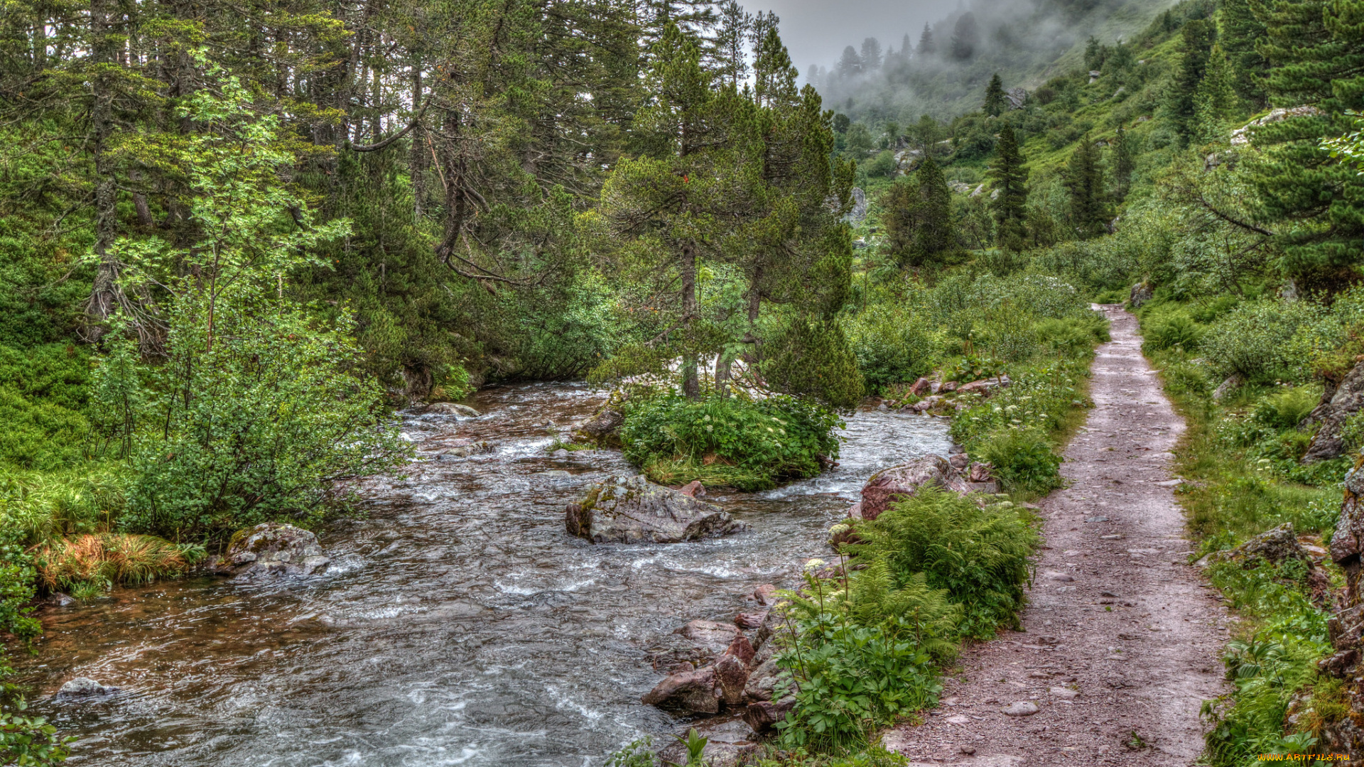 природа, реки, озера, река, лес, горы