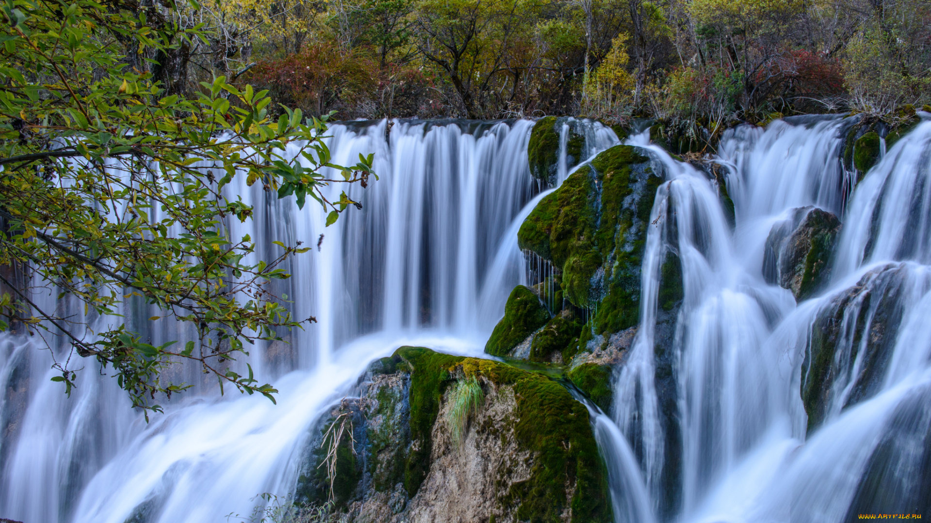 природа, водопады, водопад, река, лес