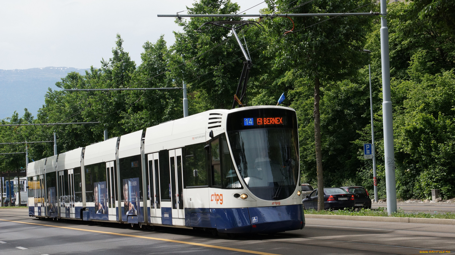 техника, трамваи, рельсы, город, трамвай