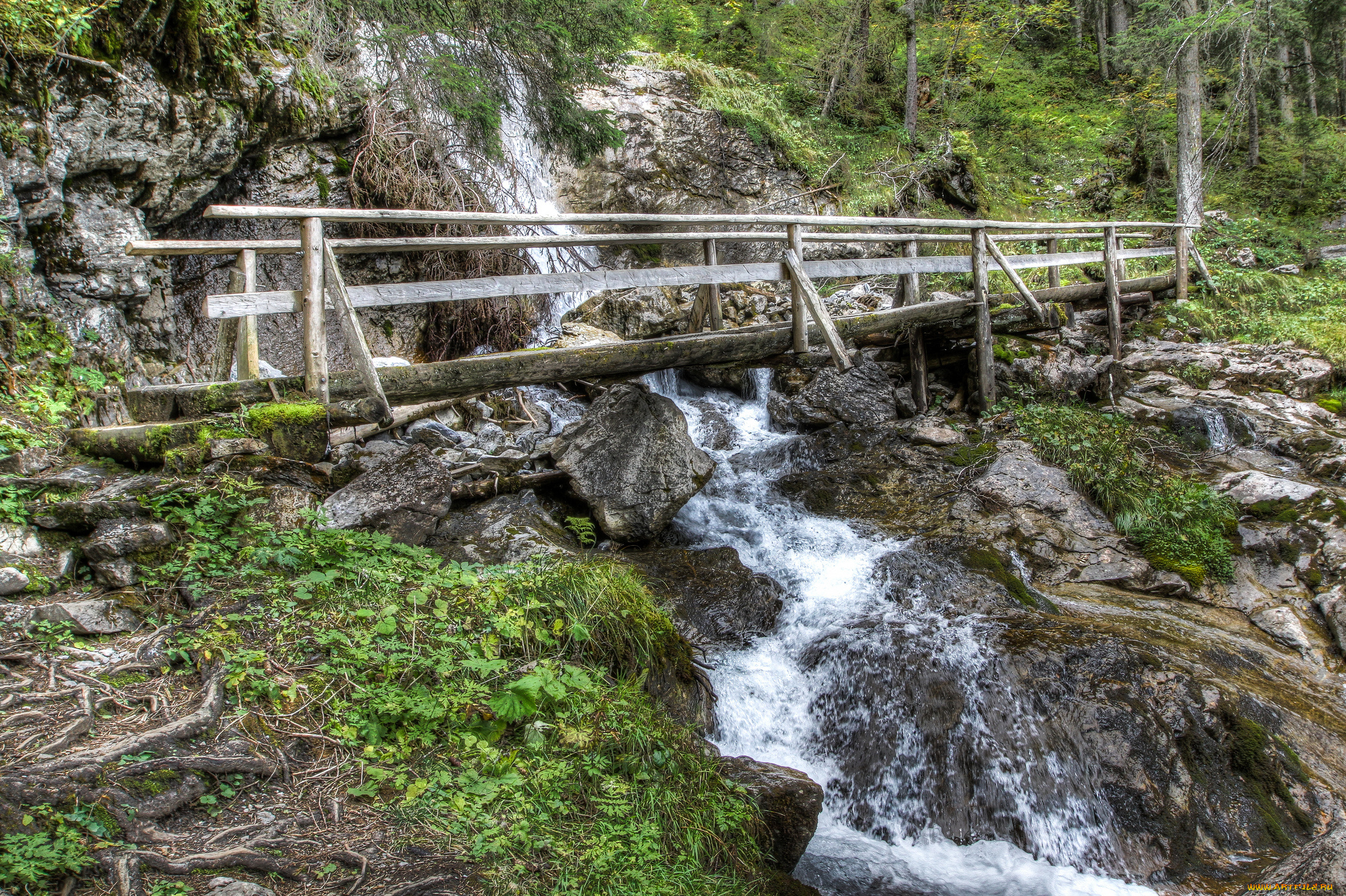 природа, реки, озера, мост, речка, лес, скалы