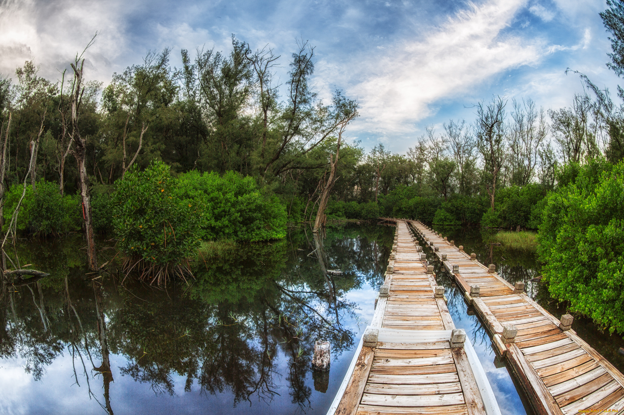природа, дороги, помост, заросли, река