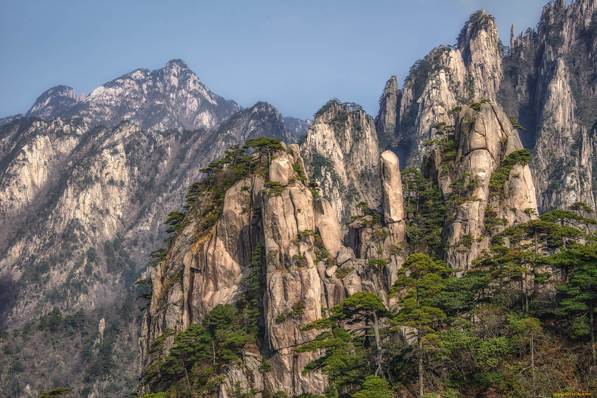 природа, горы, скалы, сосны