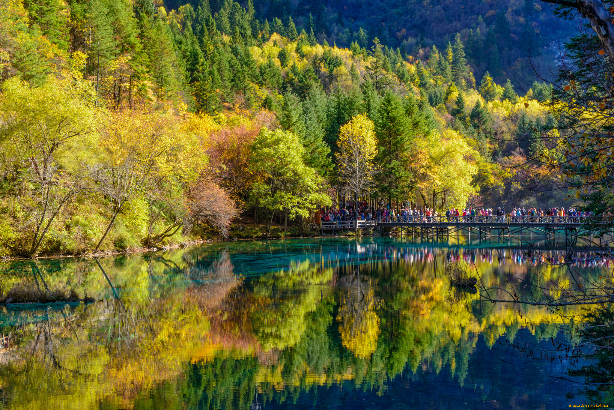 природа, реки, озера, лес, осень, река