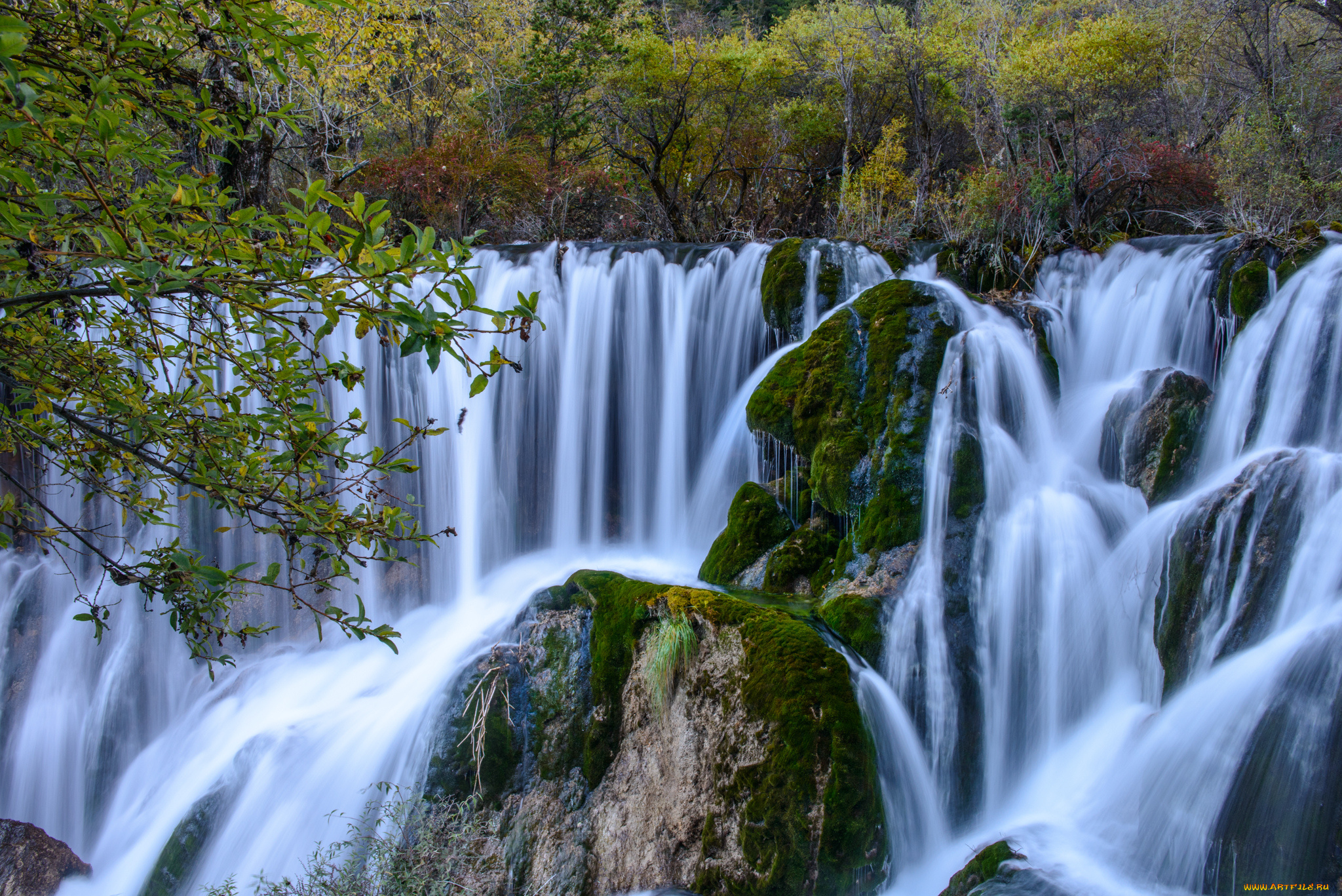 природа, водопады, водопад, река, лес