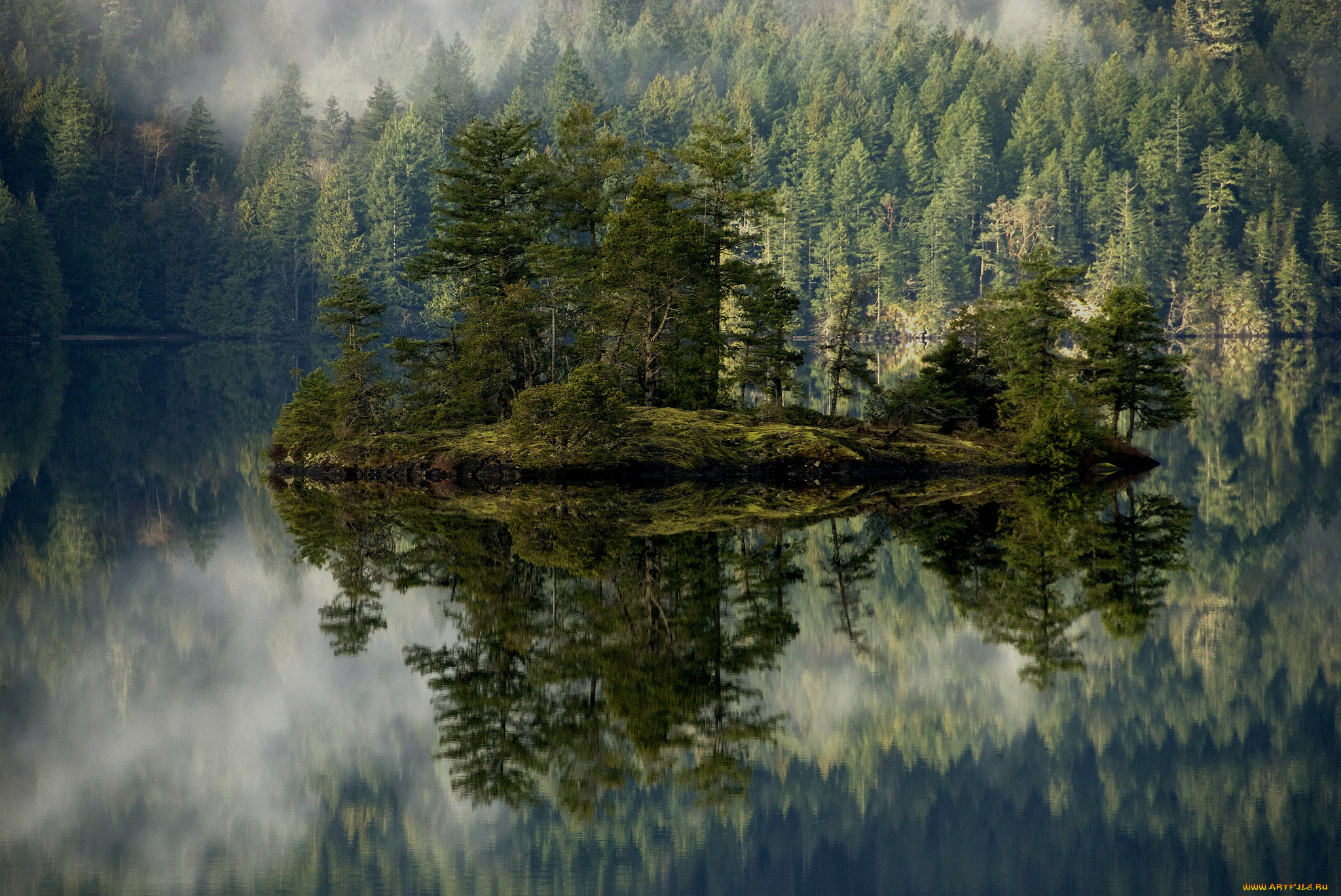 природа, реки, озера, остров, река, лес, туман
