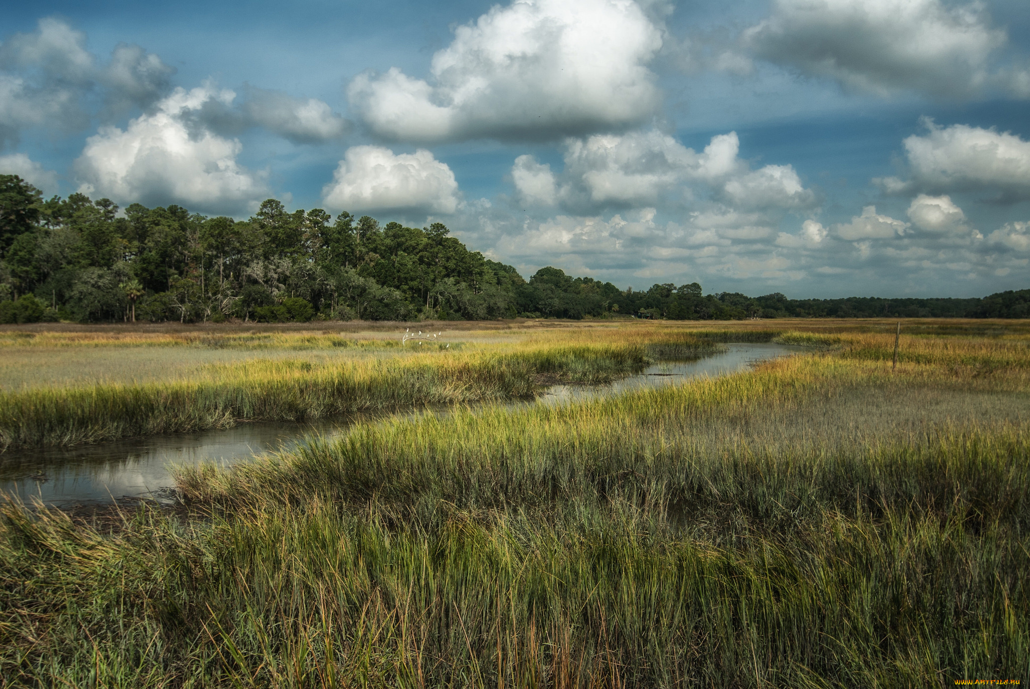 природа, реки, озера, поле, лес, речка