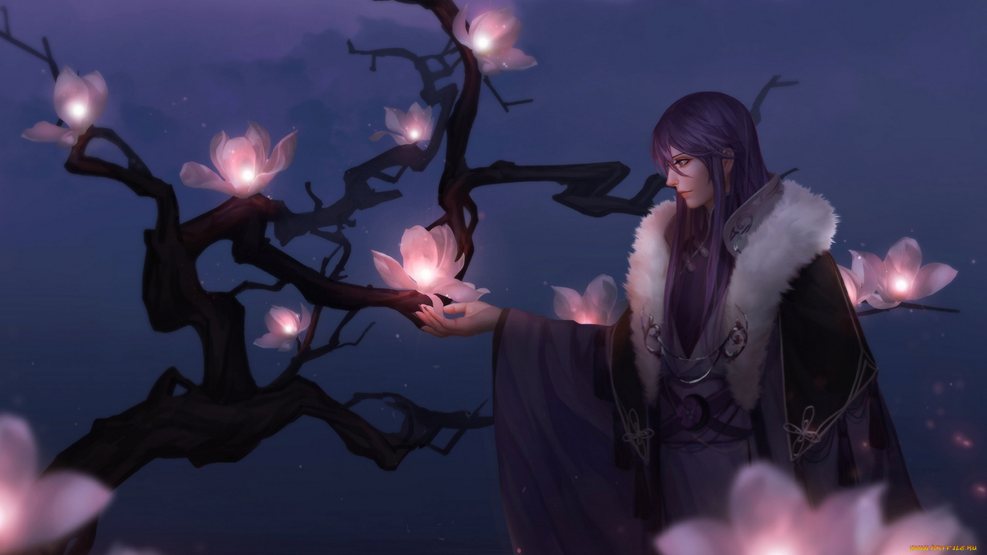 аниме, vocaloid, цветы, парень, auau, kamui, gakupo, арт, ночь, дерево, ветви