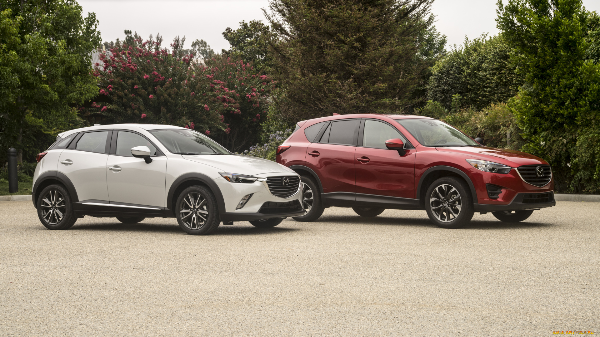 автомобили, mazda, mixed