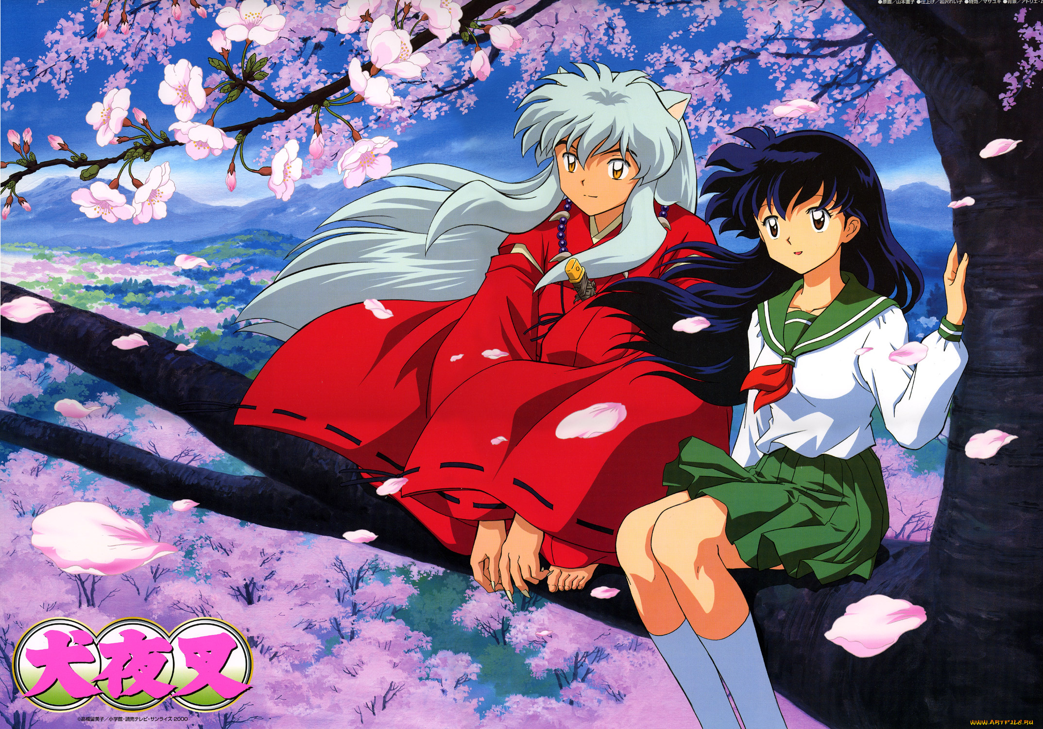 аниме, inuyasha, higurashi, kagome, весна, дерево, сакура, инуяша, кагоме
