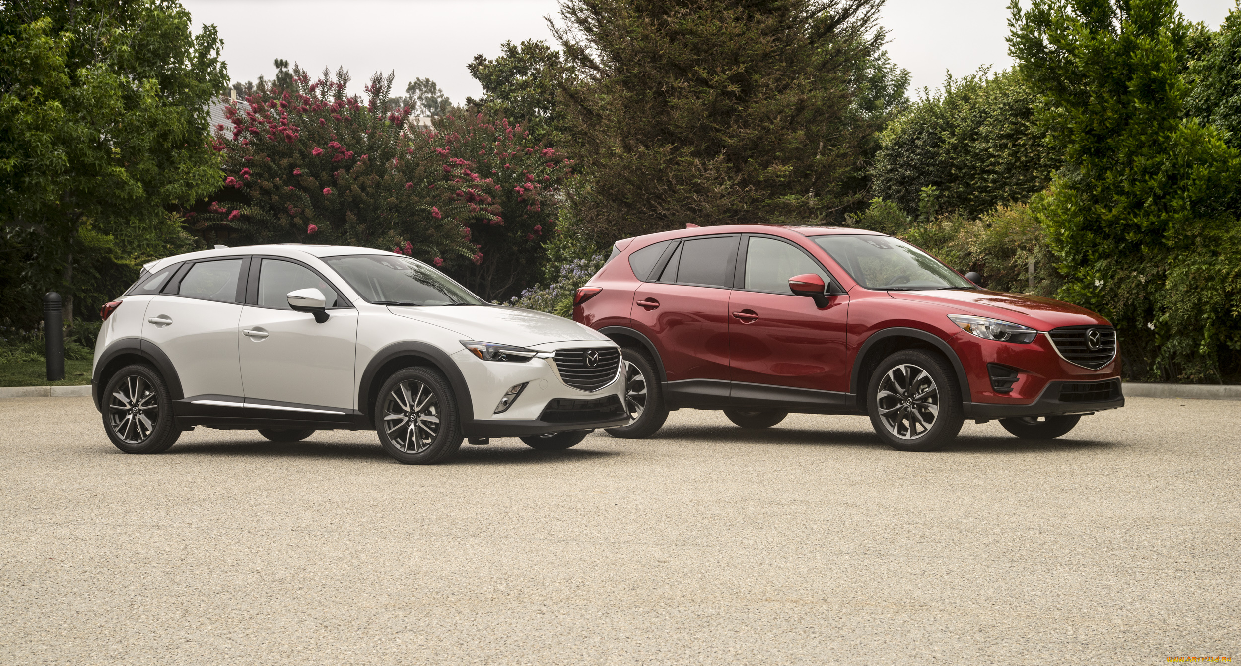 автомобили, mazda, mixed