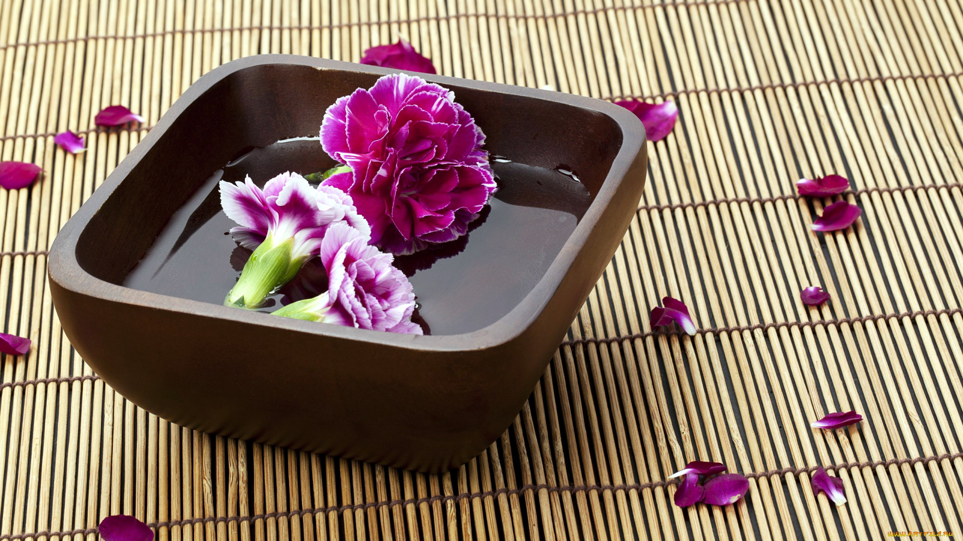 цветы, гвоздики, бутоны, лепестки, миска, вода