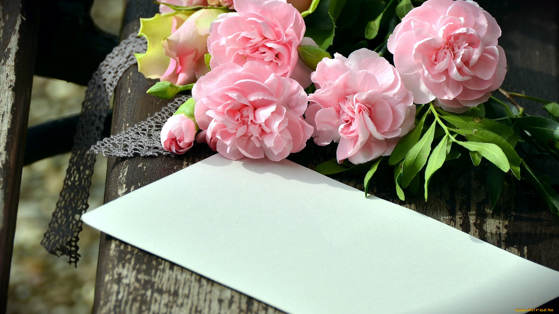 цветы, гвоздики, конверт, розовый