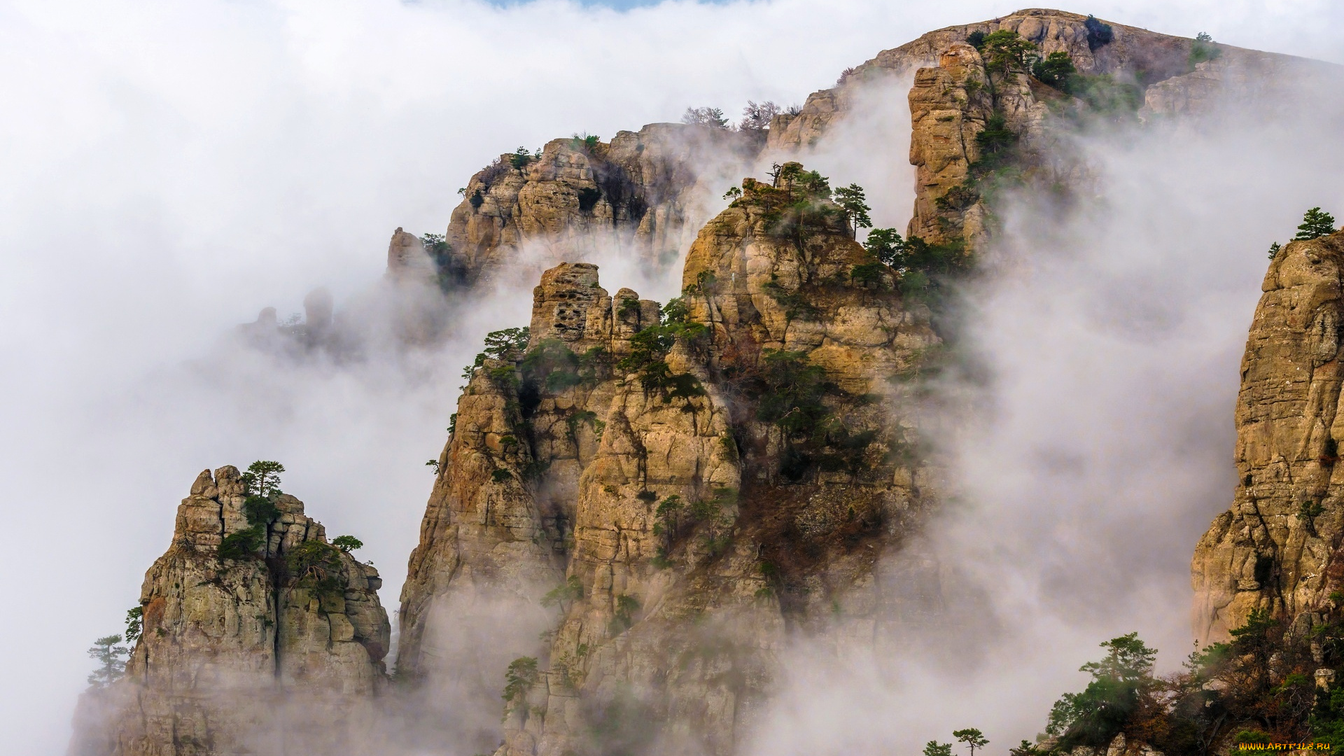 демерджи-Яйла, , крым, природа, горы, деревья, туман, скалы