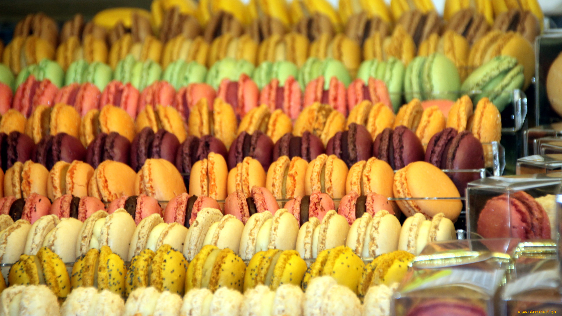 еда, макаруны, печенье, ассорти, много