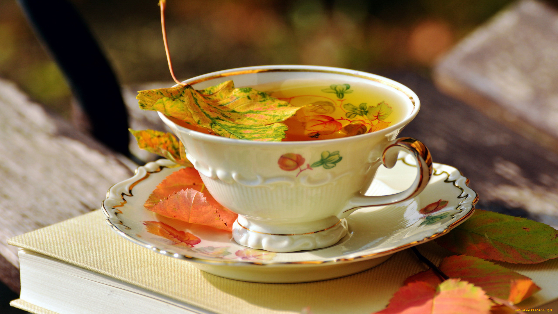 еда, напитки, , Чай, осень, листья, блюдце, чашка