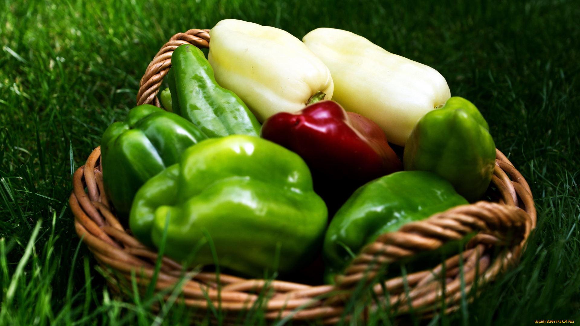 еда, перец, белый, трава, корзинка, стручки, красный, зеленый