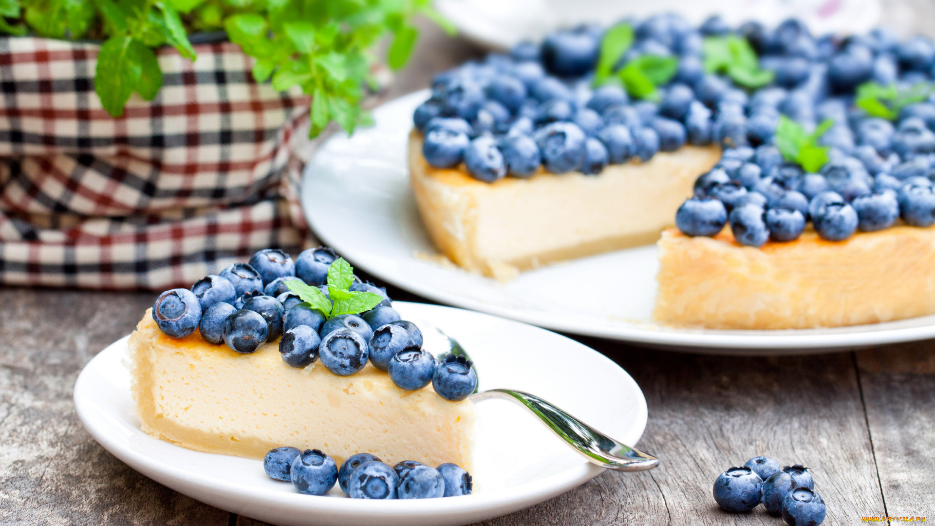 еда, пироги, черника, чизкейк