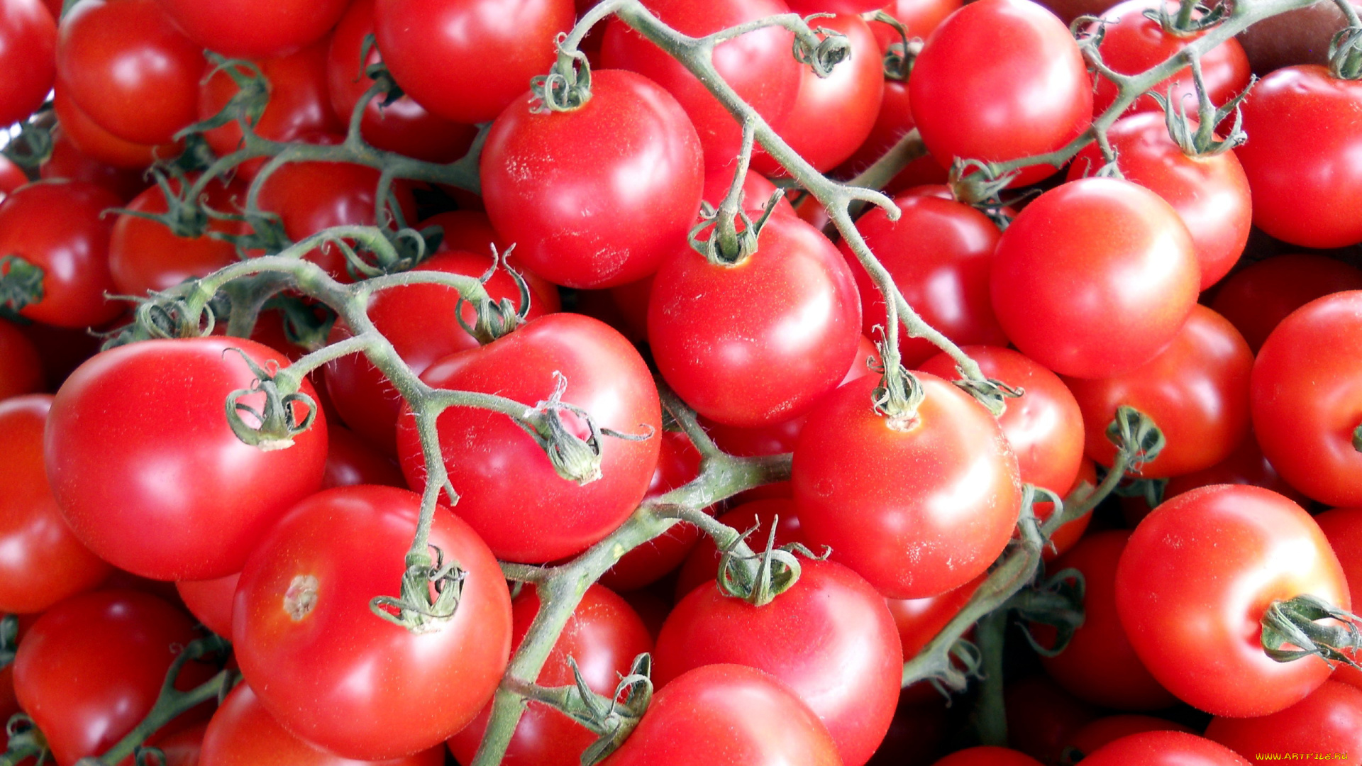 еда, помидоры, много, черри, томаты