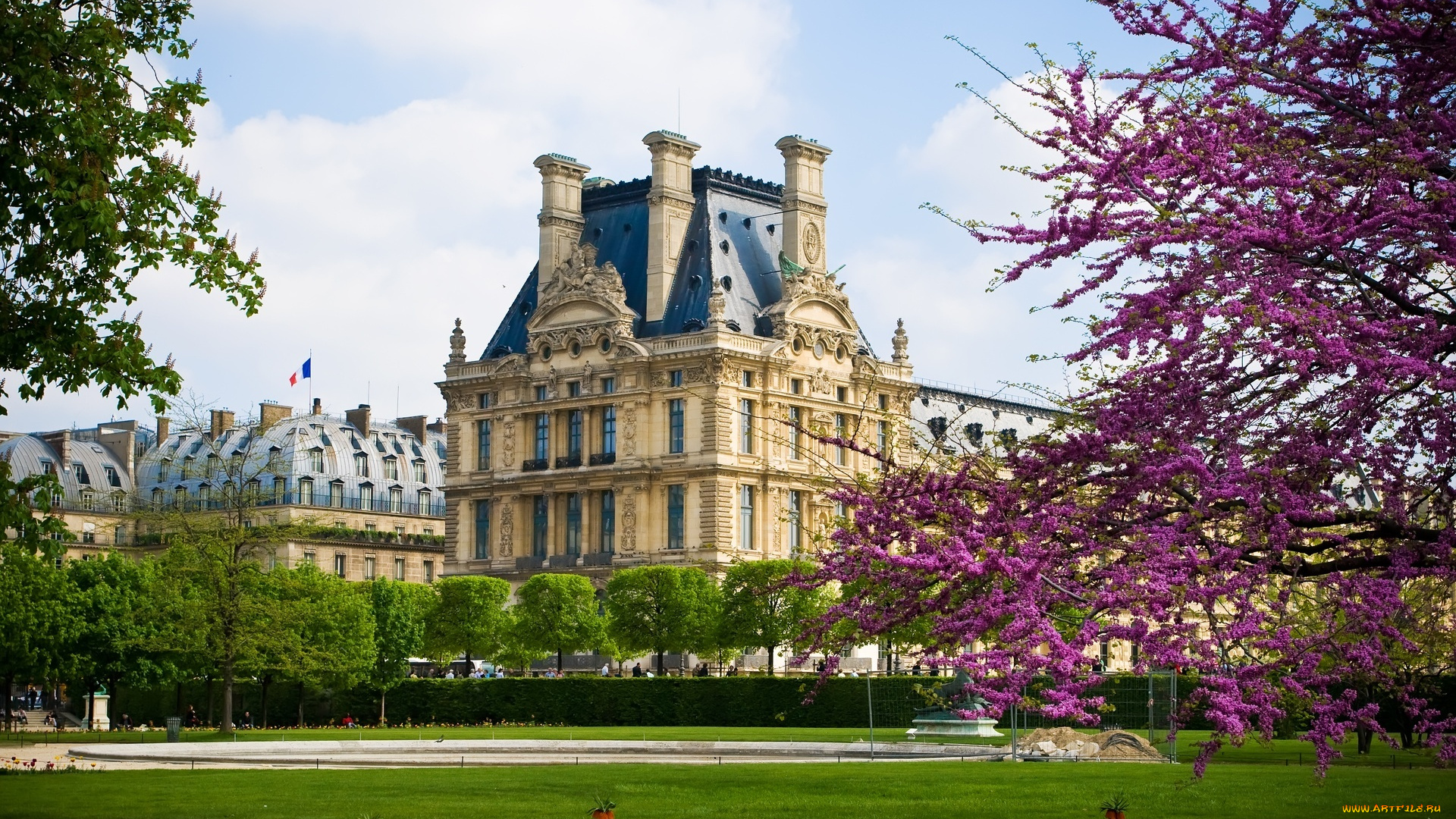 города, -, дворцы, , замки, , крепости, дворец, лувр, цветение, весна, парк