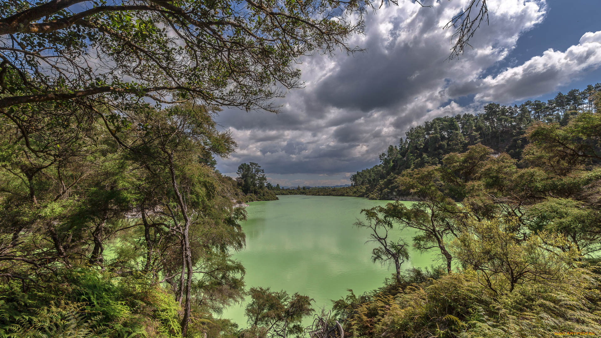 природа, реки, озера, река, лес