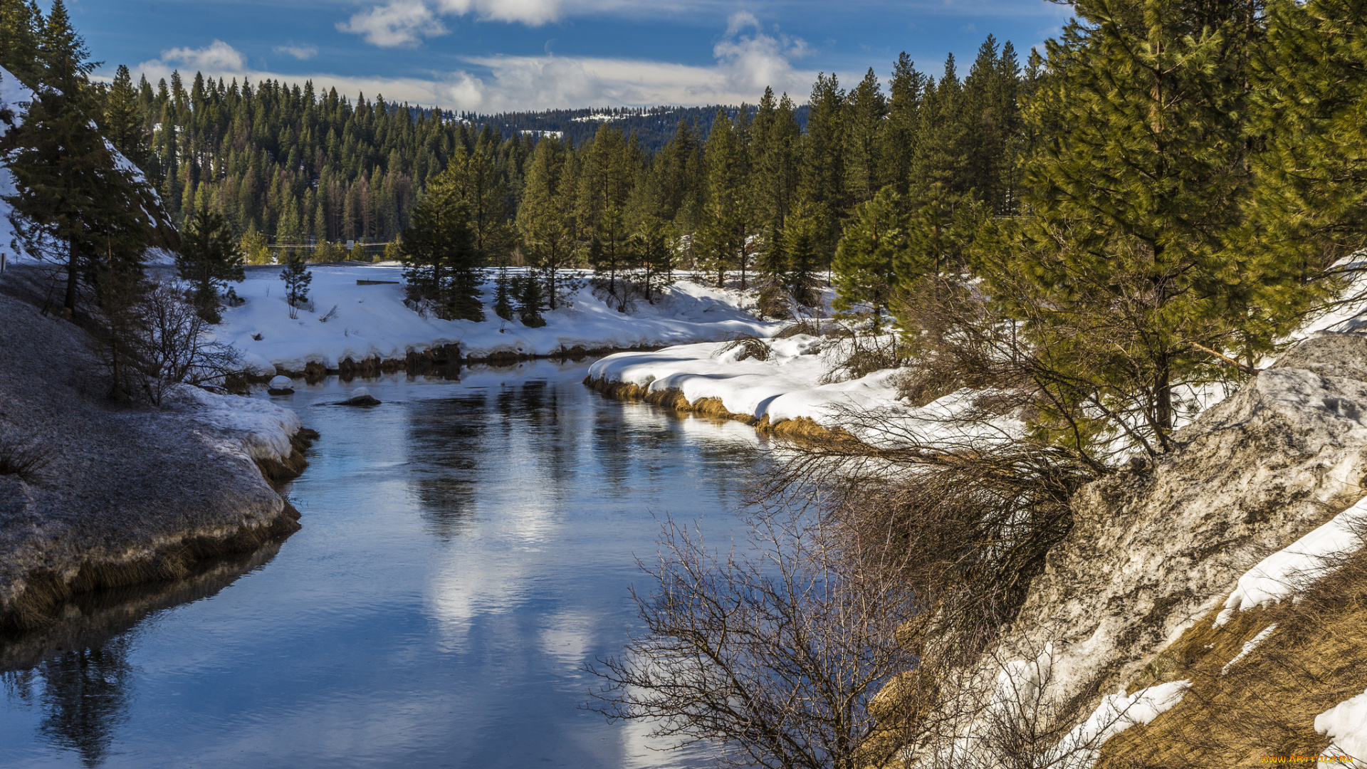 природа, реки, озера, река, лес