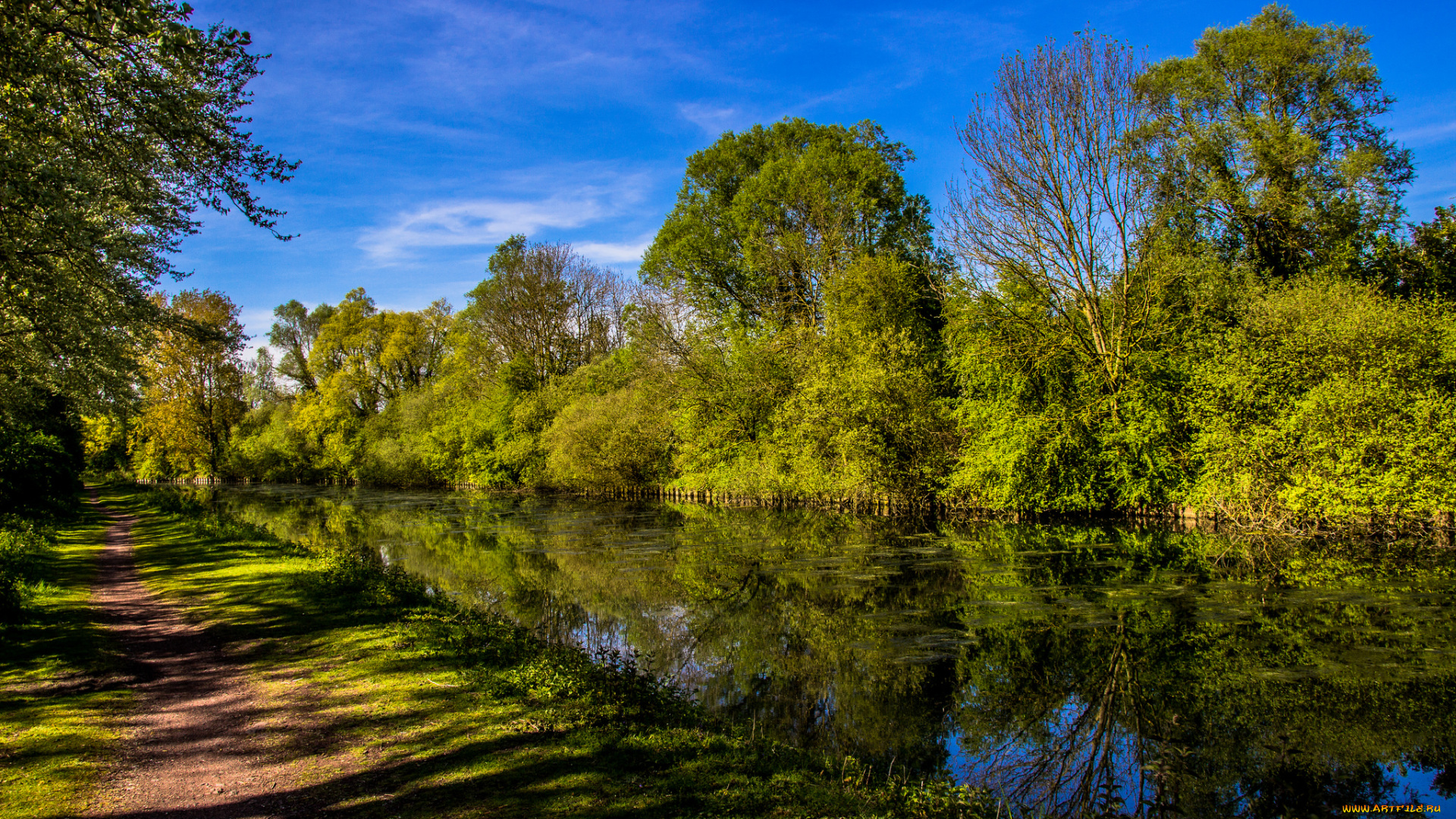 природа, реки, озера, река, лес