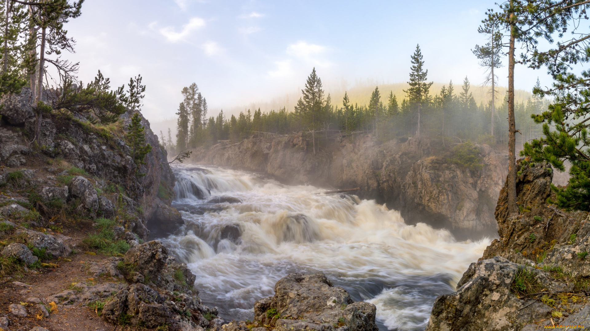 природа, реки, озера, река, лес