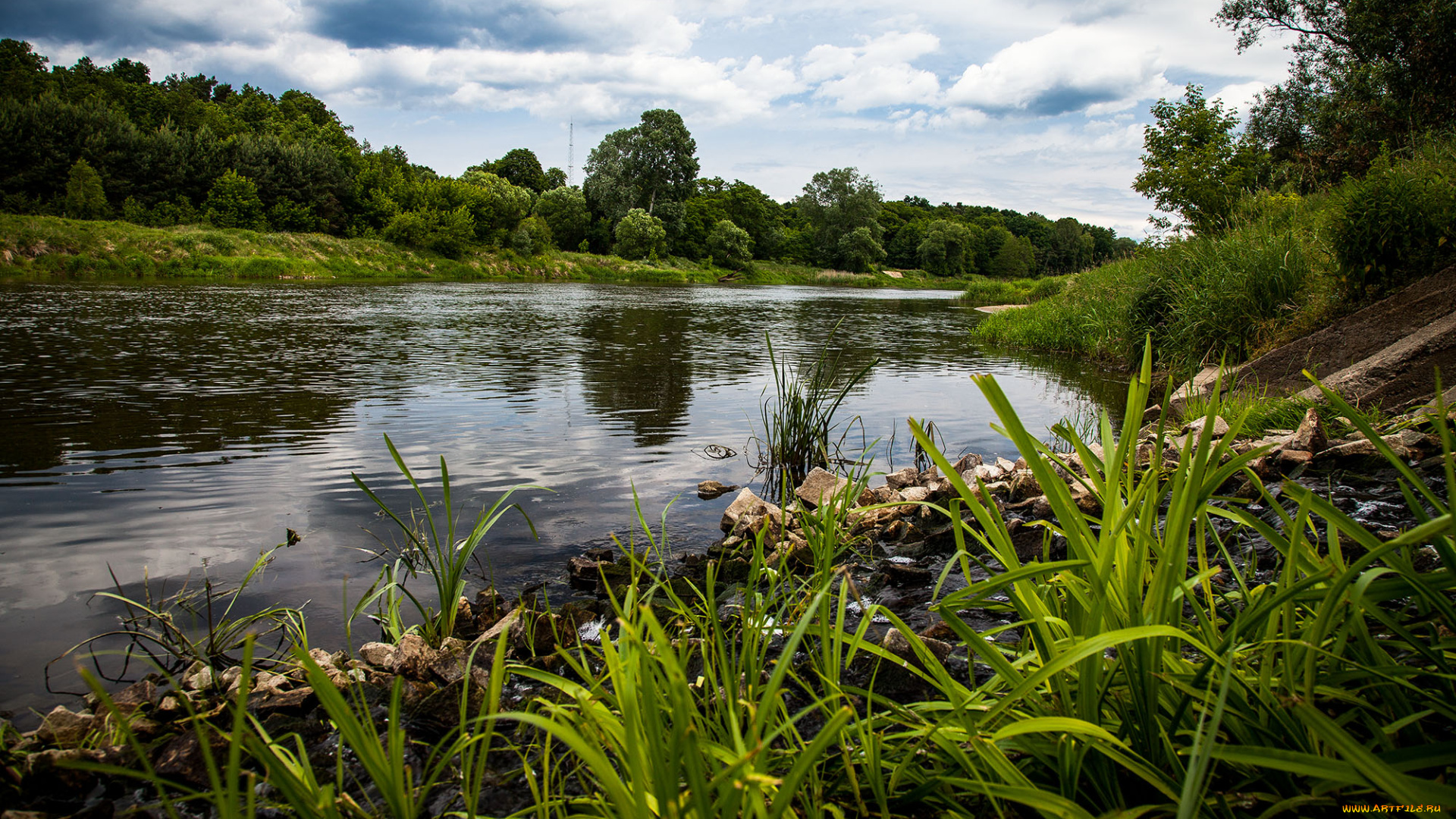 природа, реки, озера, река, лес