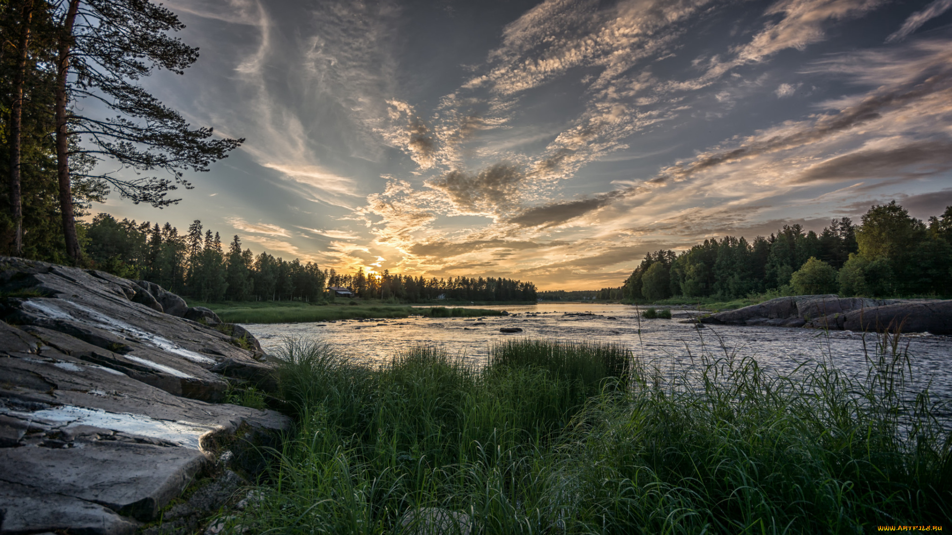 природа, реки, озера, река, лес