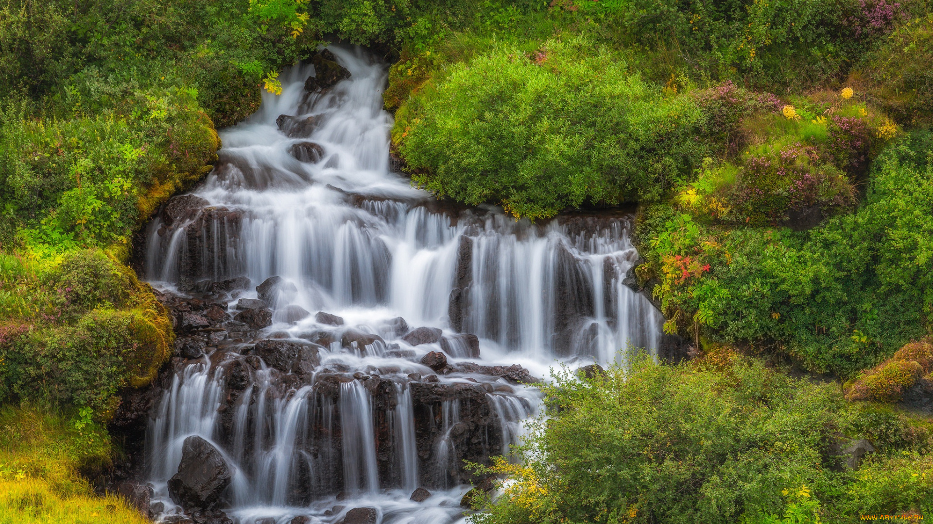 природа, водопады, исландия, кусты, водопад, каскад, iceland