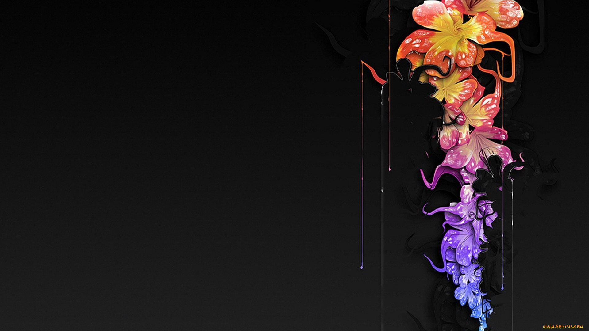 векторная, графика, цветы, , flowers, потеки, краска, цветы