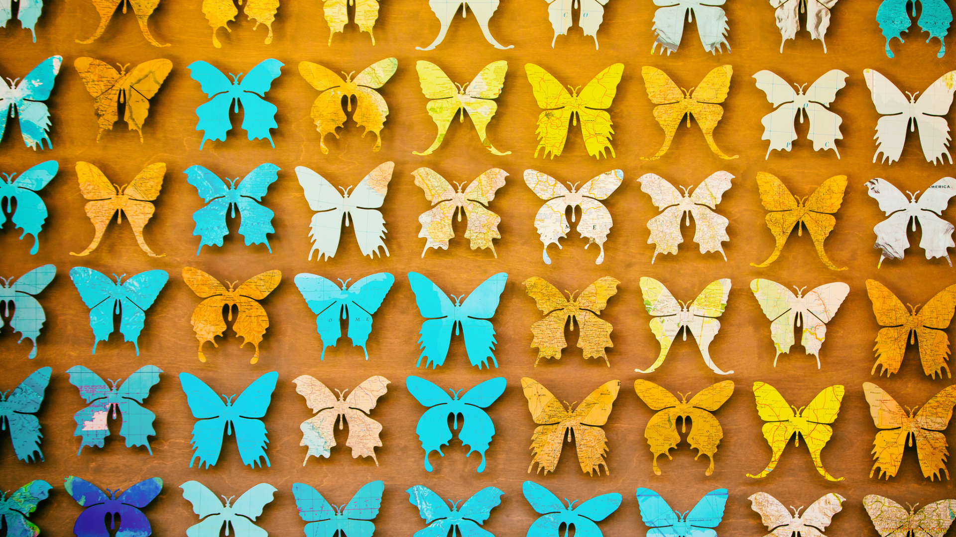 векторная, графика, животные, , animals, фон, бабочки