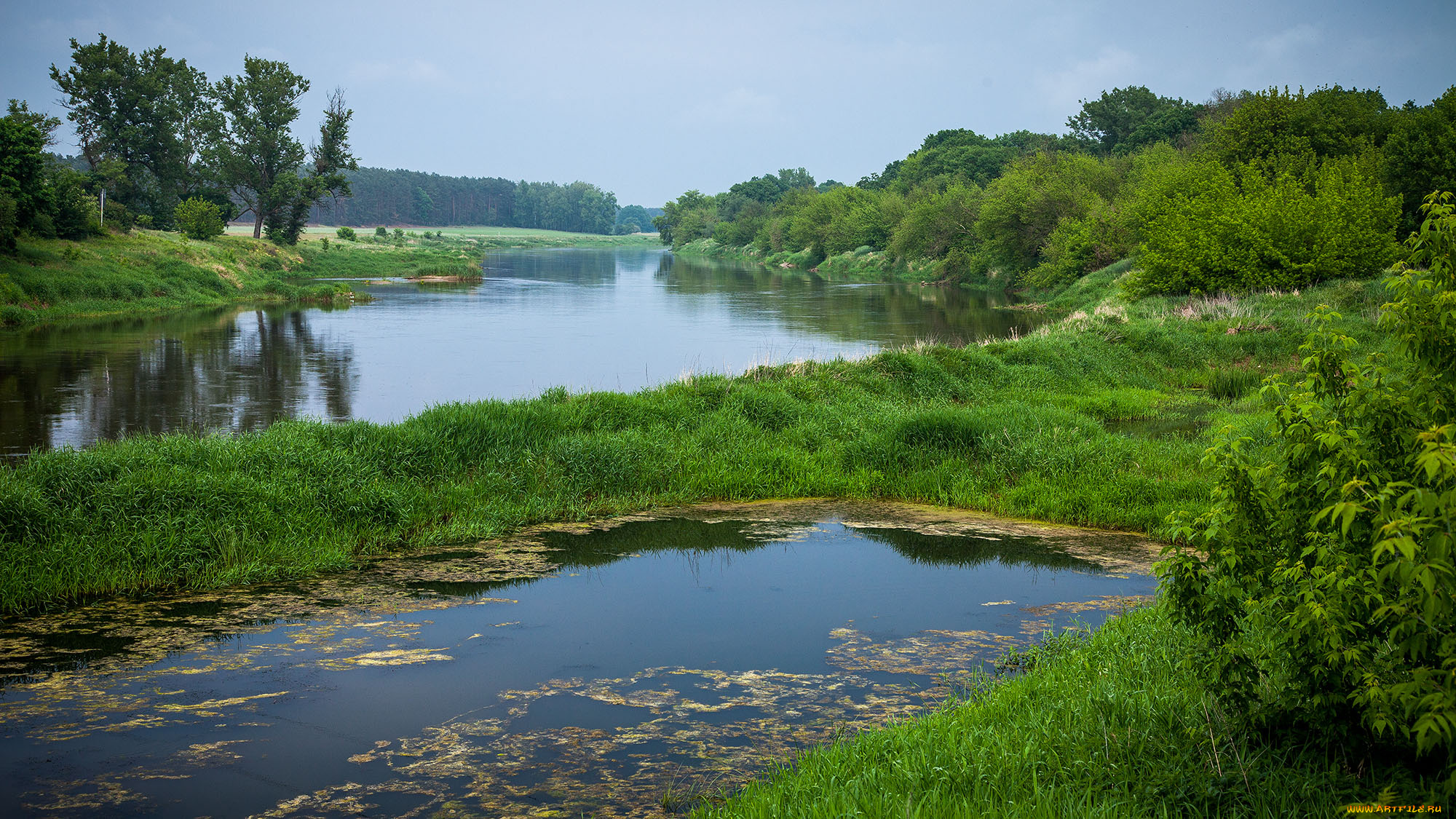 природа, реки, озера, река, лес