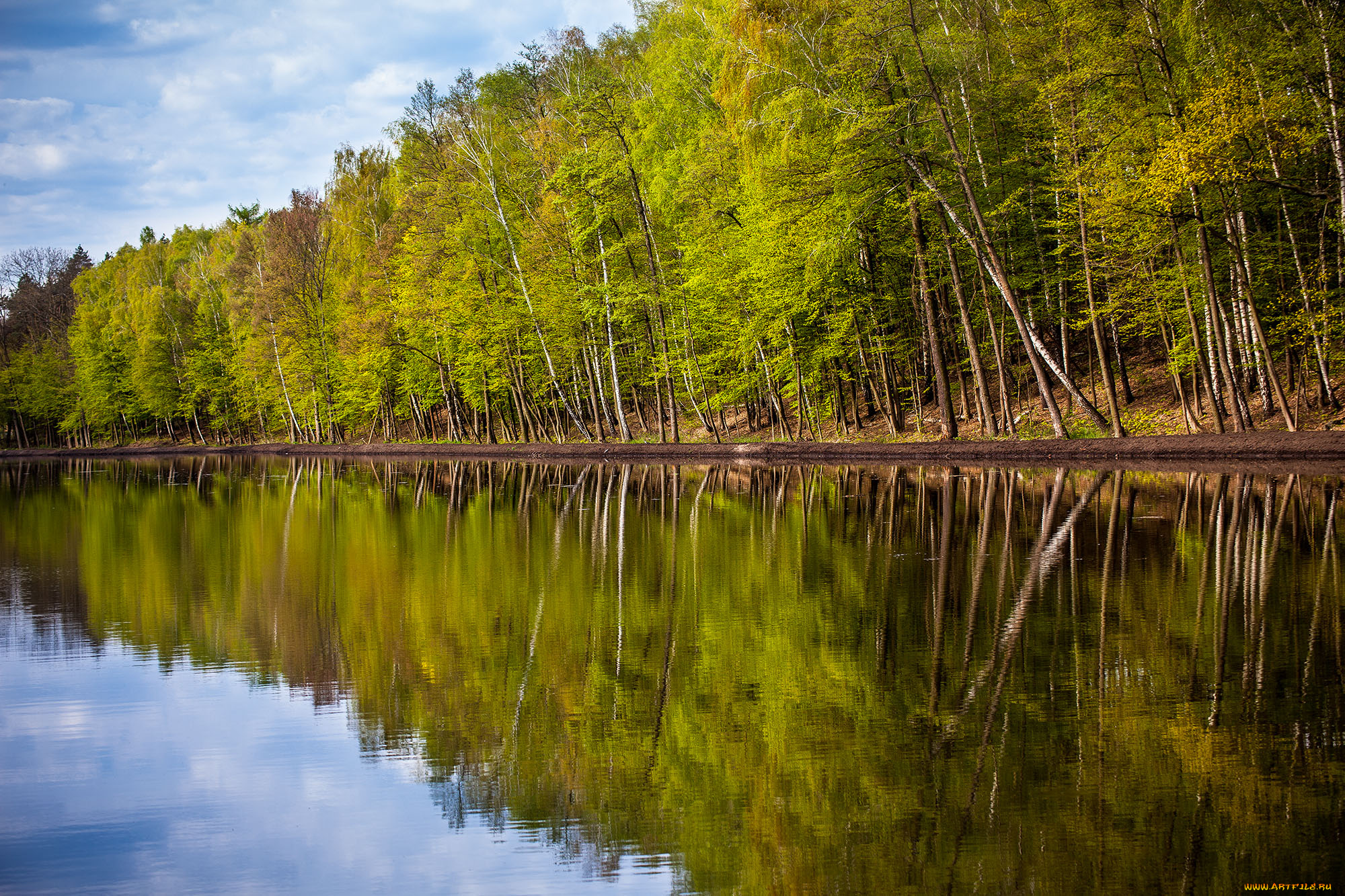 природа, реки, озера, река, лес