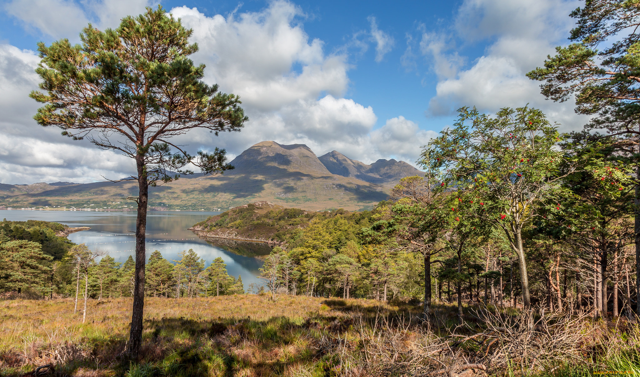 природа, реки, озера, лес, река