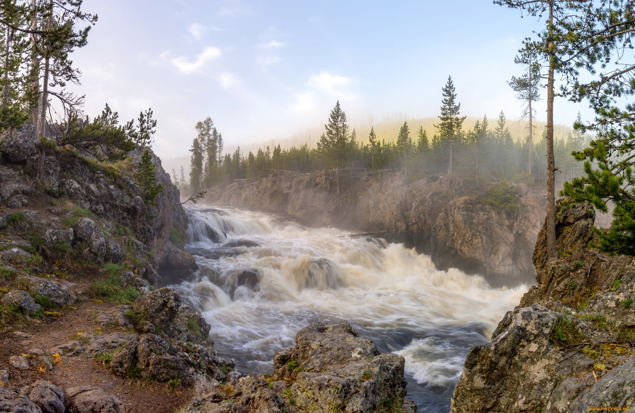 природа, реки, озера, река, лес