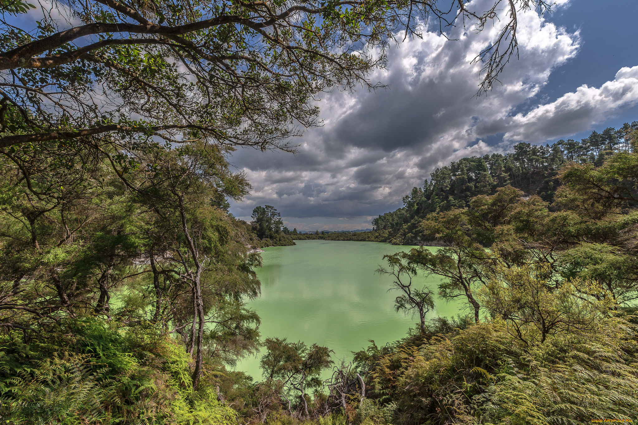 природа, реки, озера, река, лес