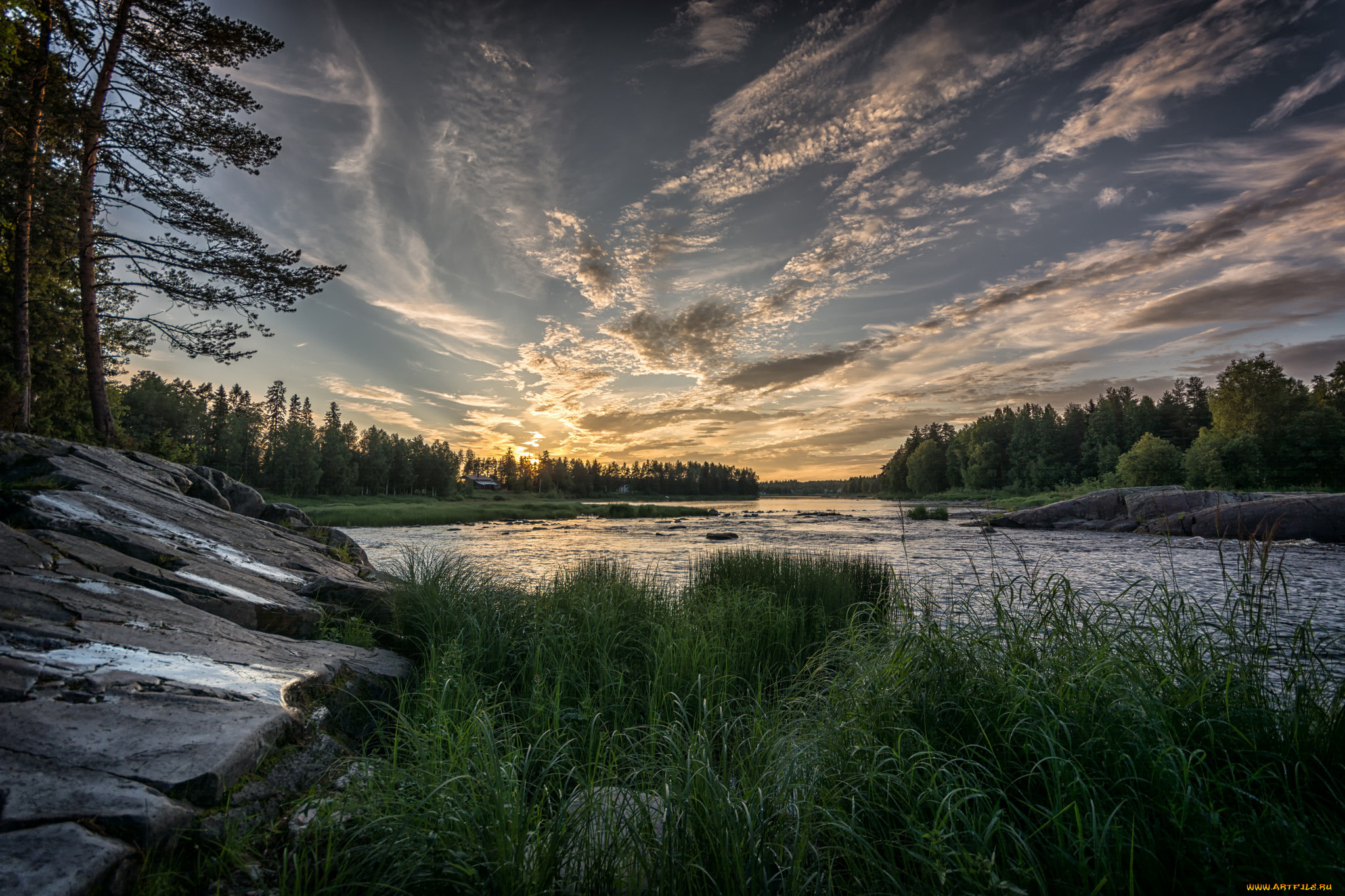 природа, реки, озера, река, лес