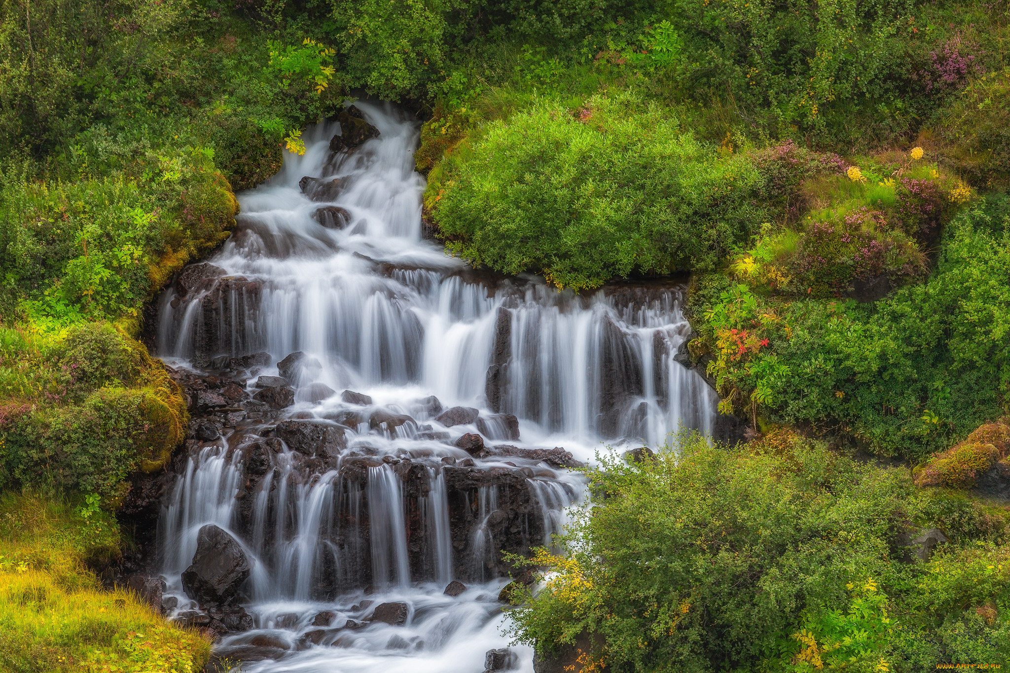 природа, водопады, исландия, кусты, водопад, каскад, iceland