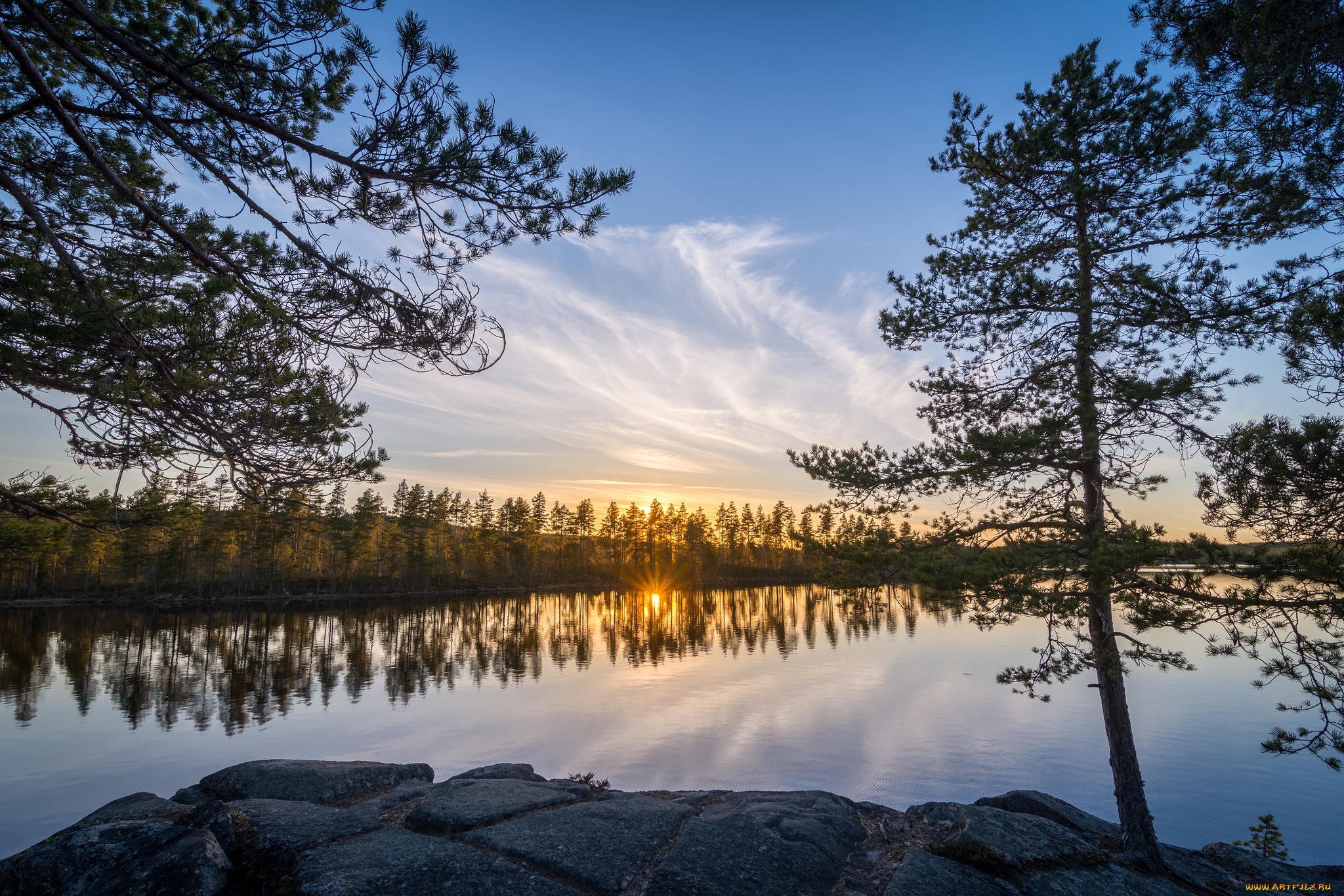 природа, реки, озера, лес, река